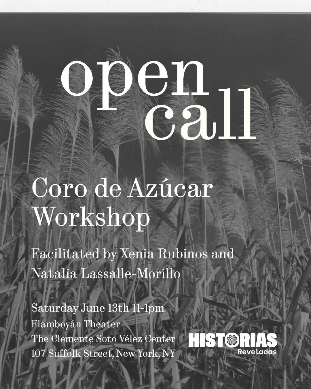 Open Call Workshop - Coro de azúcar