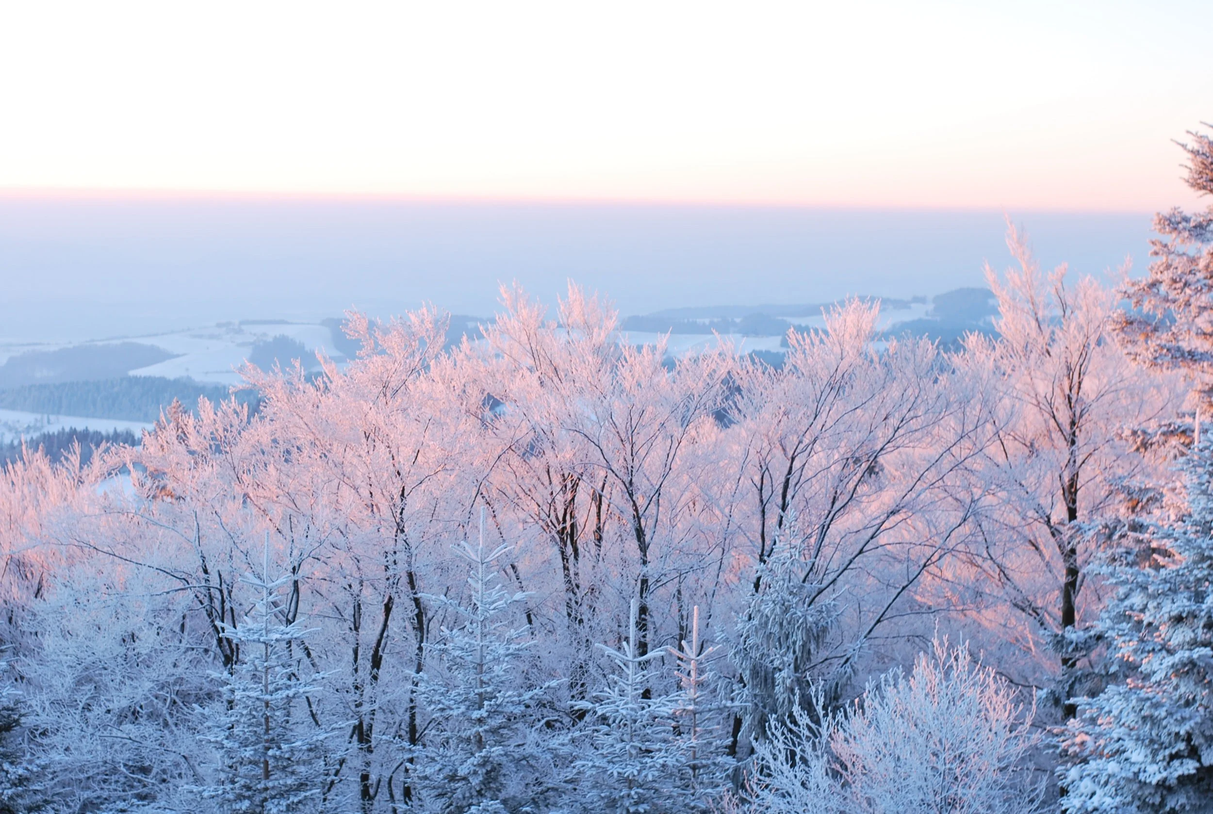 OIS Newsletter: January 2022