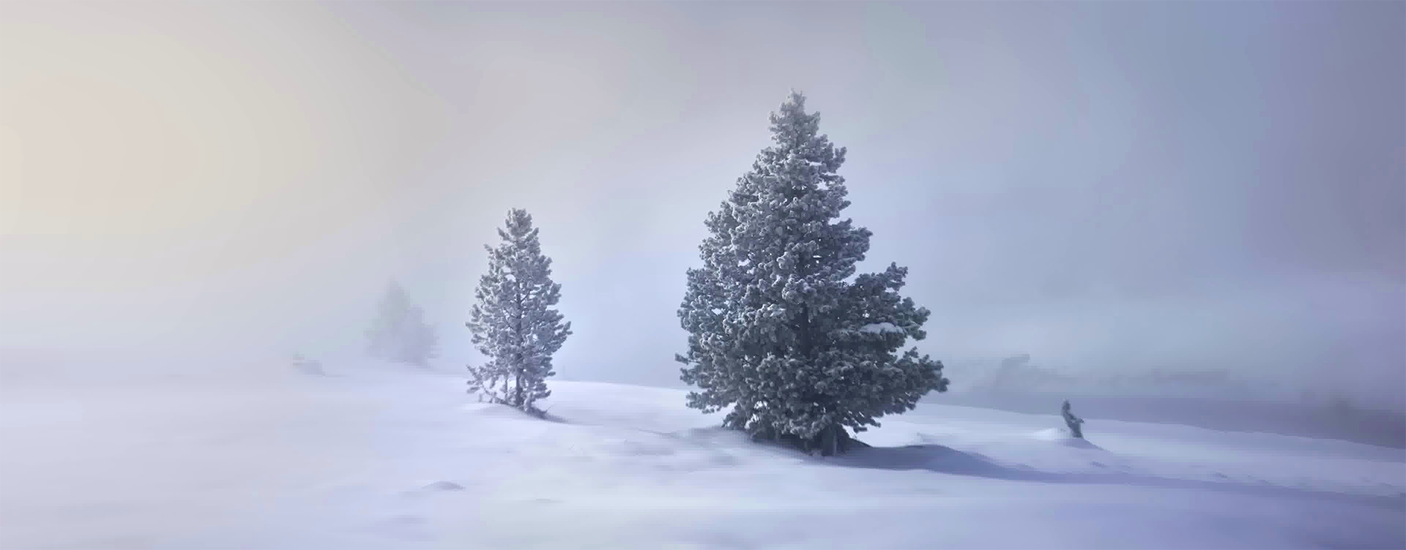 January 2026 Newsletter