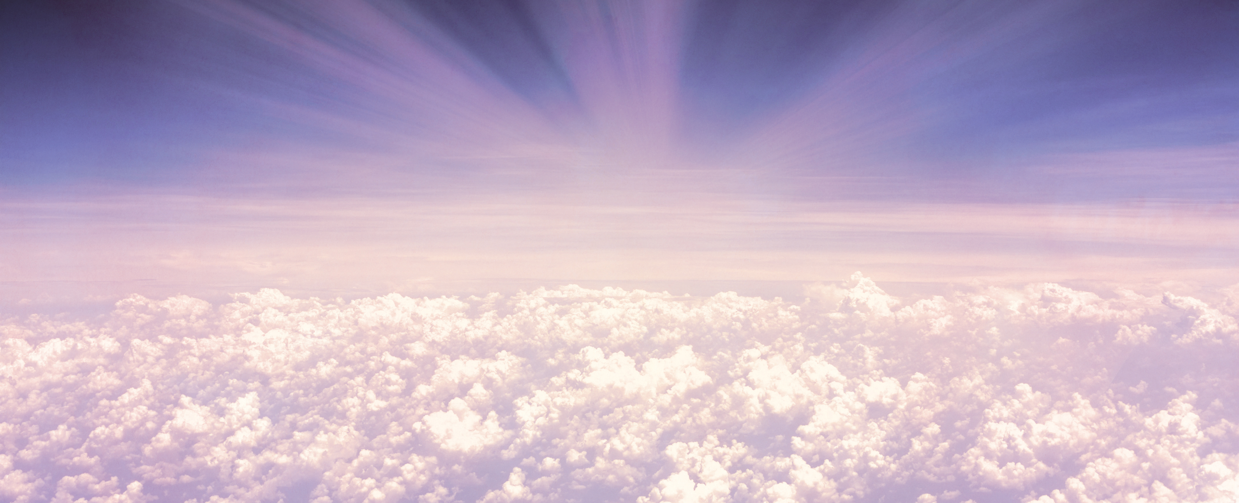 March 2026 Newsletter