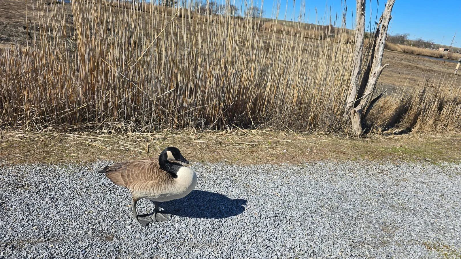PHOTO-2026-04-11-19-40-39 2.jpg