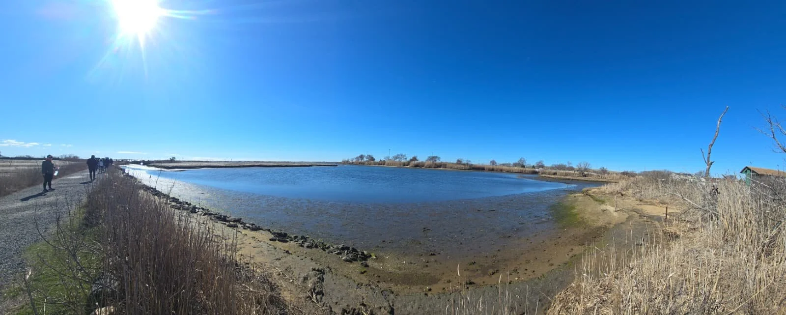 PHOTO-2026-04-11-19-40-39 3.jpg