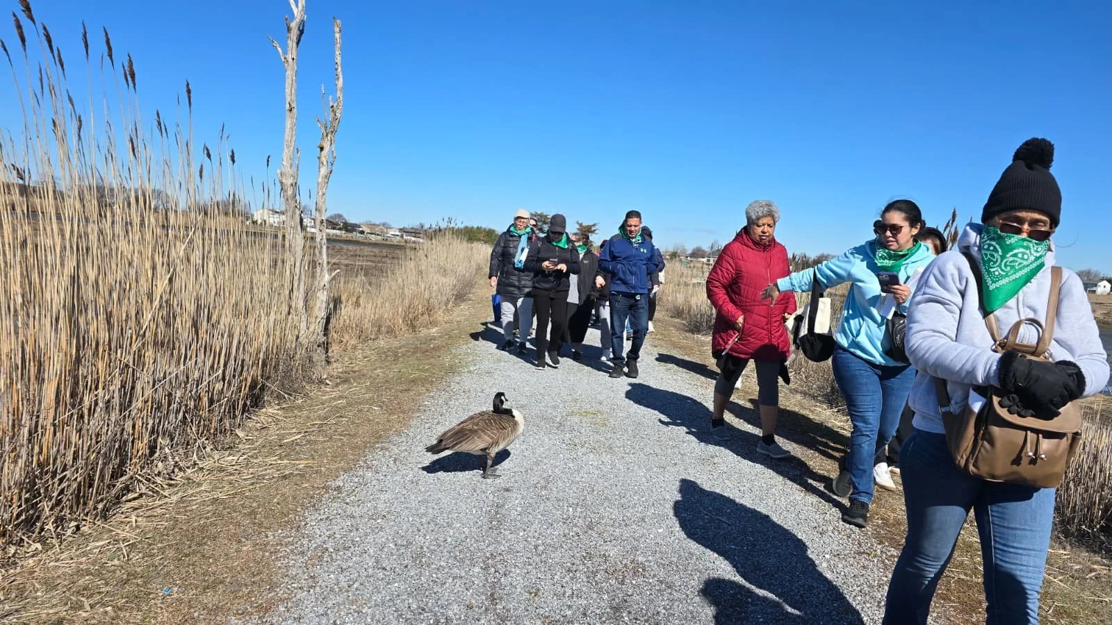 PHOTO-2026-04-11-19-40-39 4.jpg