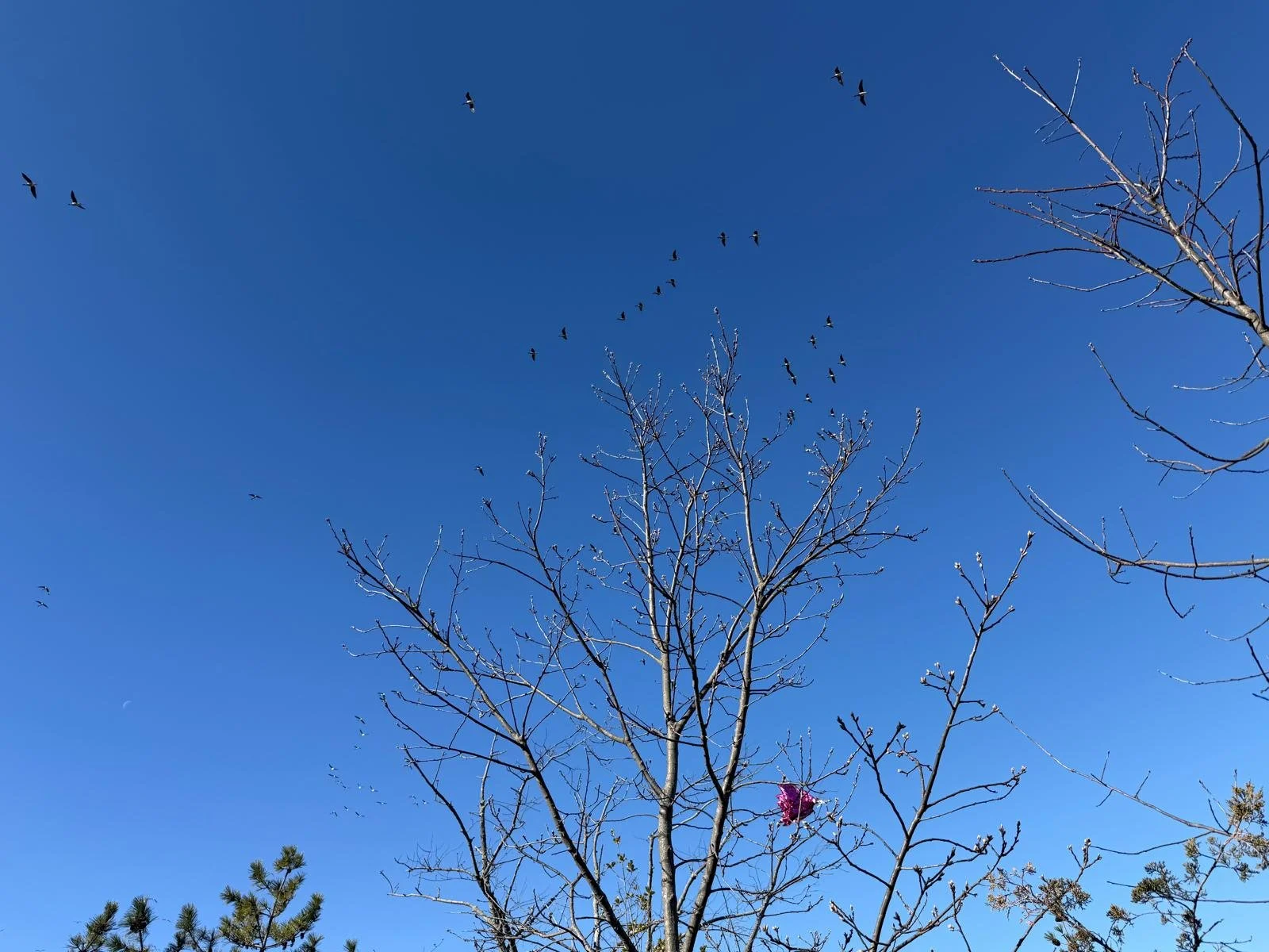 PHOTO-2026-04-11-19-42-27 7.jpg