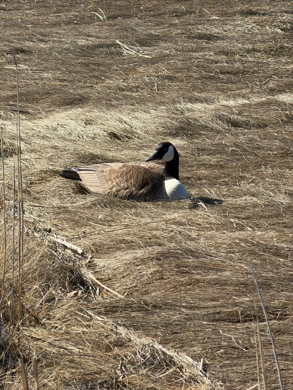 PHOTO-2026-04-11-19-42-27 13.jpg