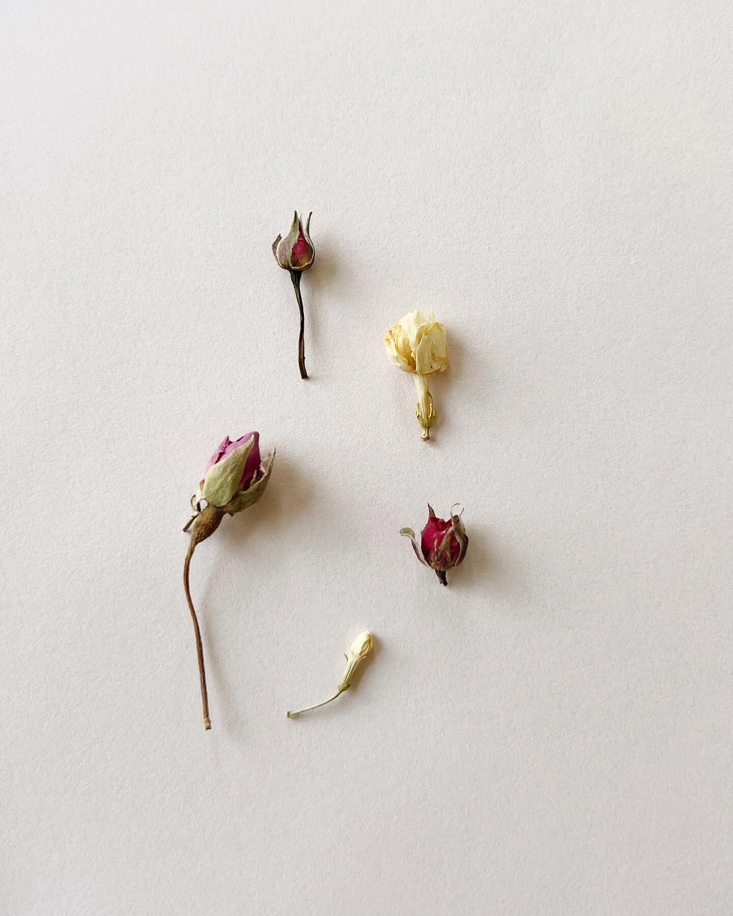 Est&aacute;s flores preciosas que le ponemos a los #waxseals 🫶🏻