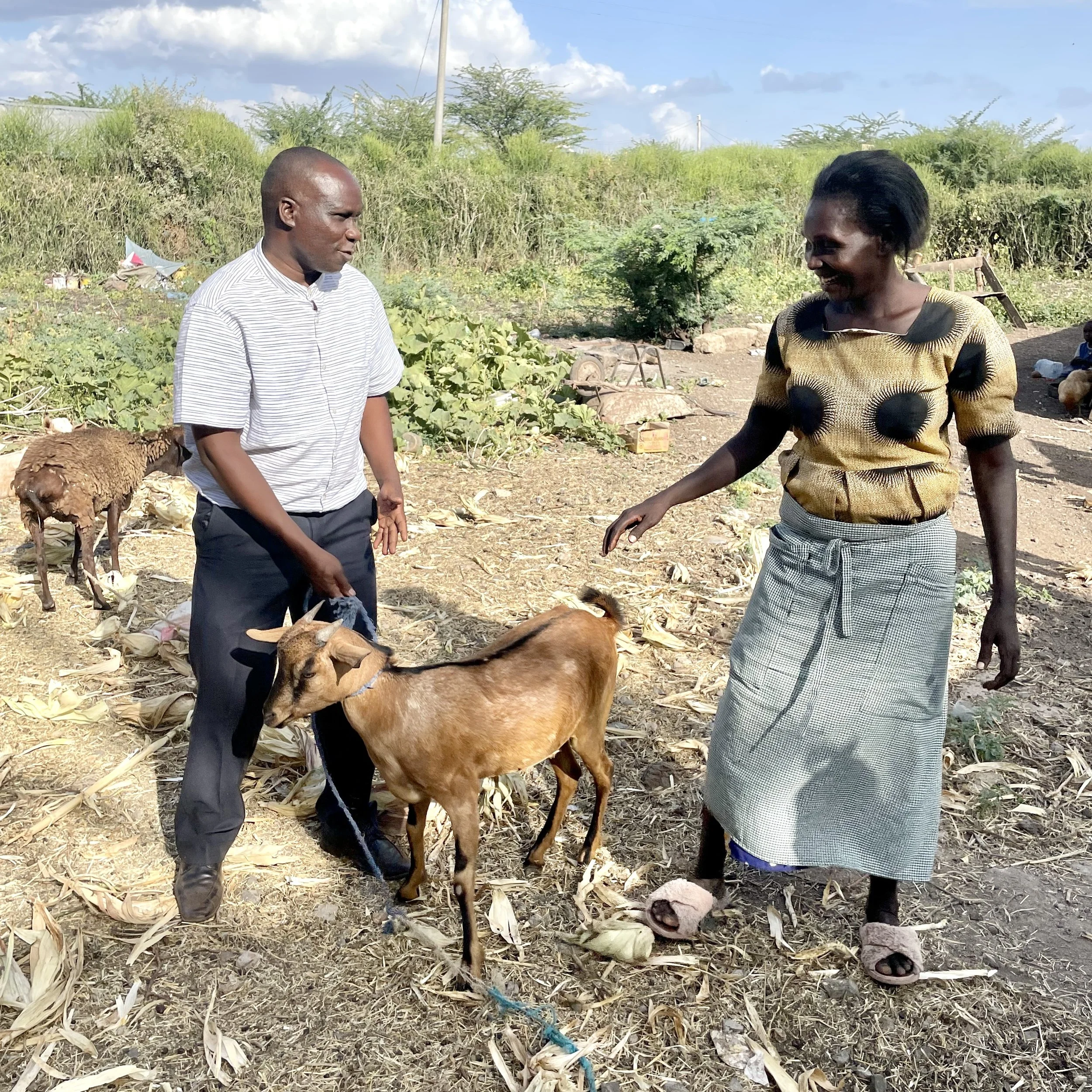 JANET'S GOATS