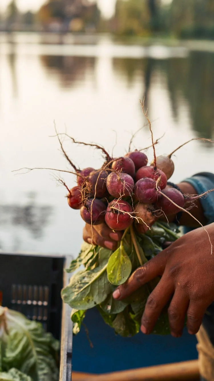The 50 Best Restaurants Latin America's Champions of Change award. Arca Tierra. Pablo Usobiaga