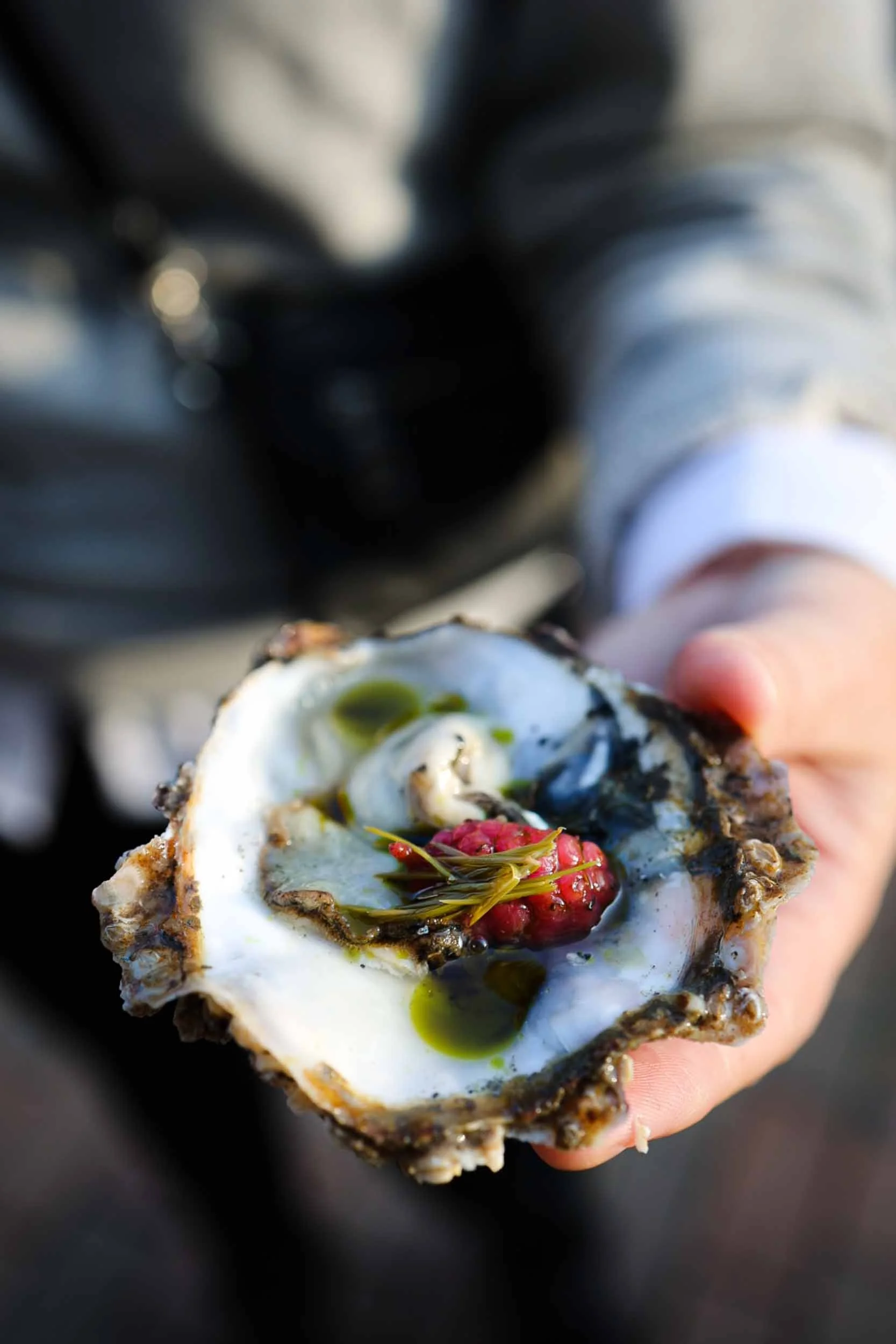   DANISH OYSTER FESTIVAL  
  FOOD FESTIVAL  
  Imagine a world where oysters are considered an invasive species. A world where the favorite delicacy of gourmands across the world have become so bountiful that locals and visitors at the Unesco World H