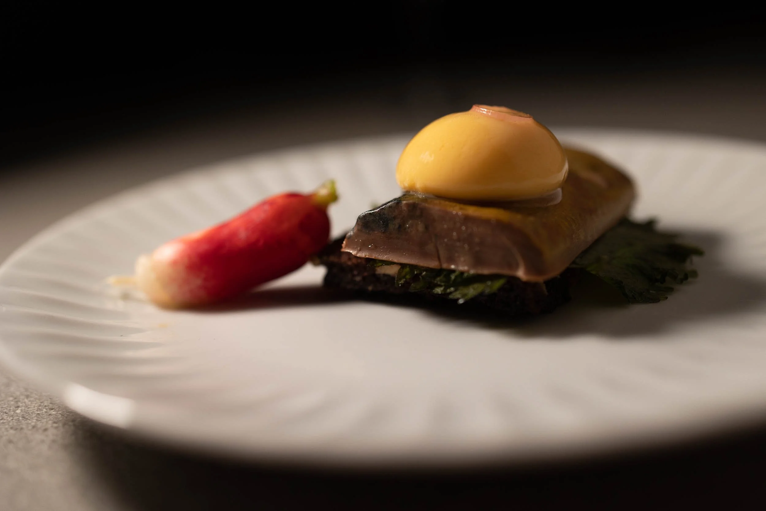  SOL OVER GUDHJEM RISING STAR  2022  
  COOKING COMPETITION  
  In early February, four promising culinary talents met on the coastline of the remote Danish island on Bornholm. They all wanted to prove once and for all, that they had what it took to