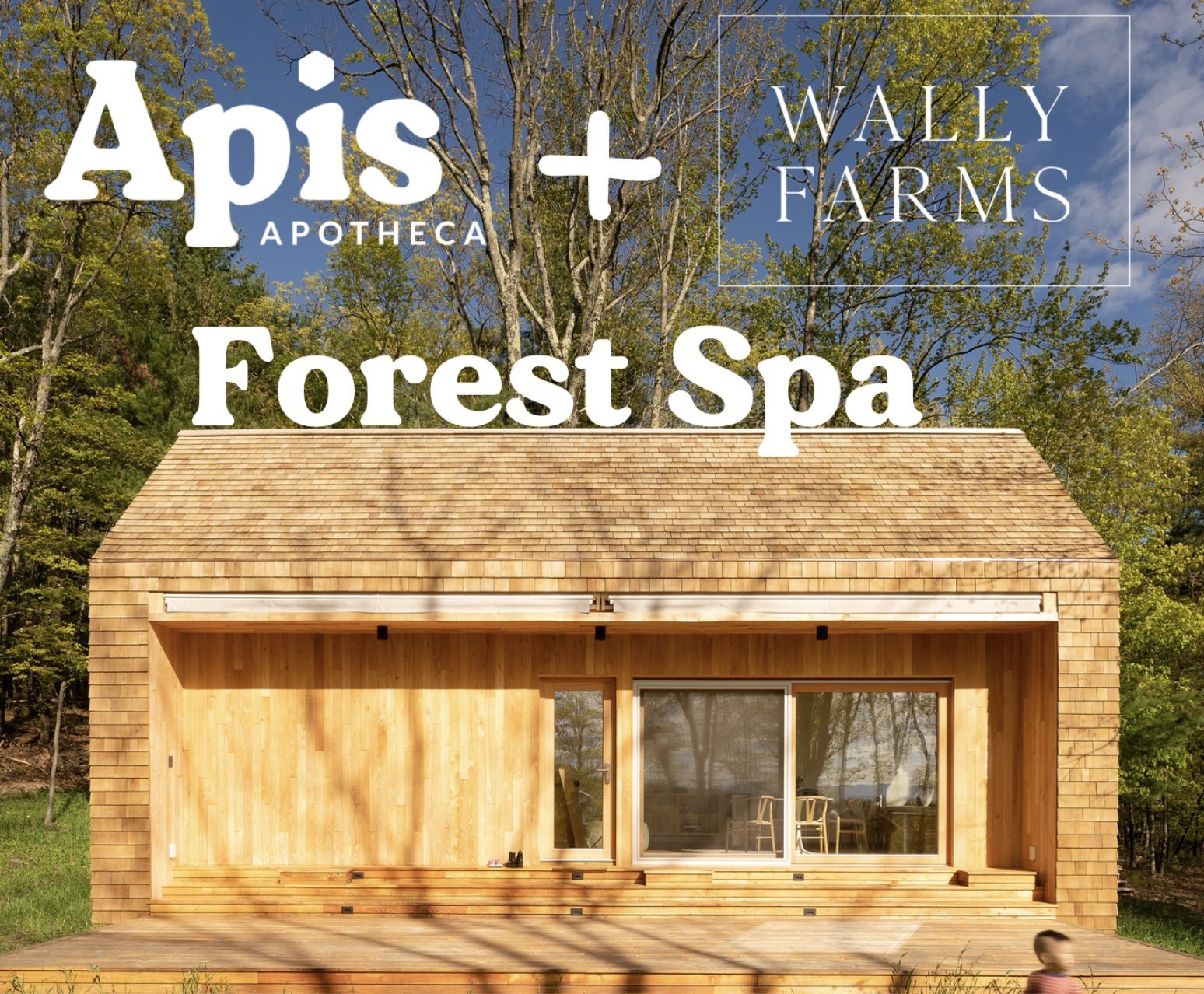apis + wally farms.jpeg