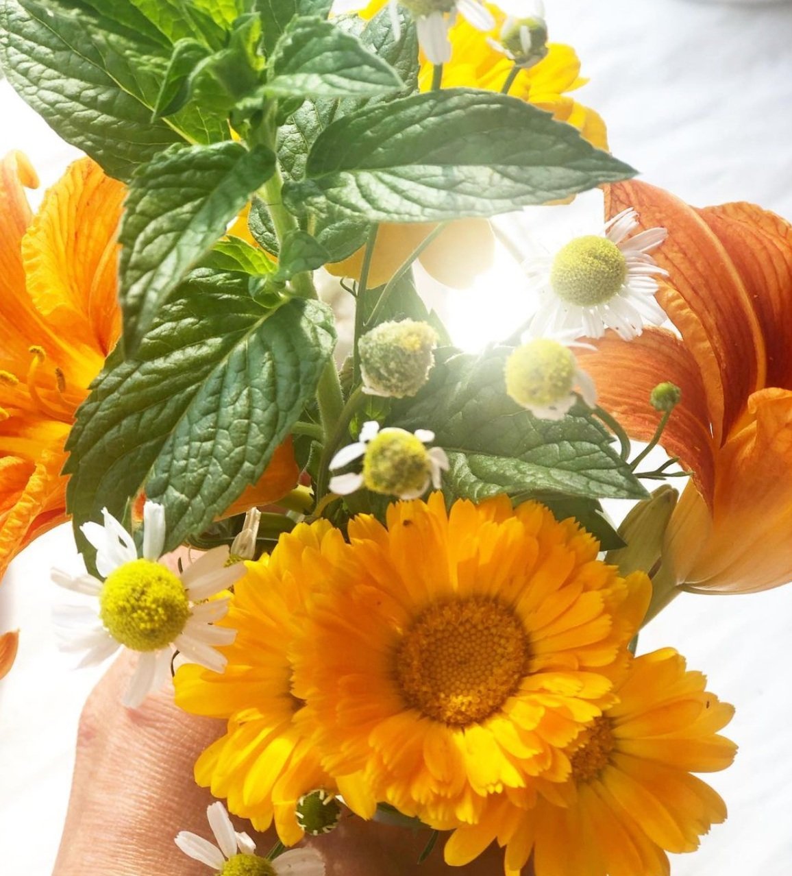 Warm Autumn Recipe!