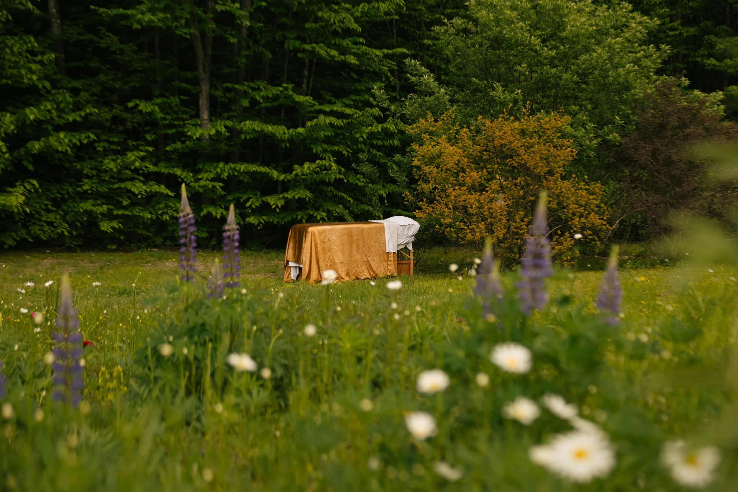 Seasonal Facial Package  ✿