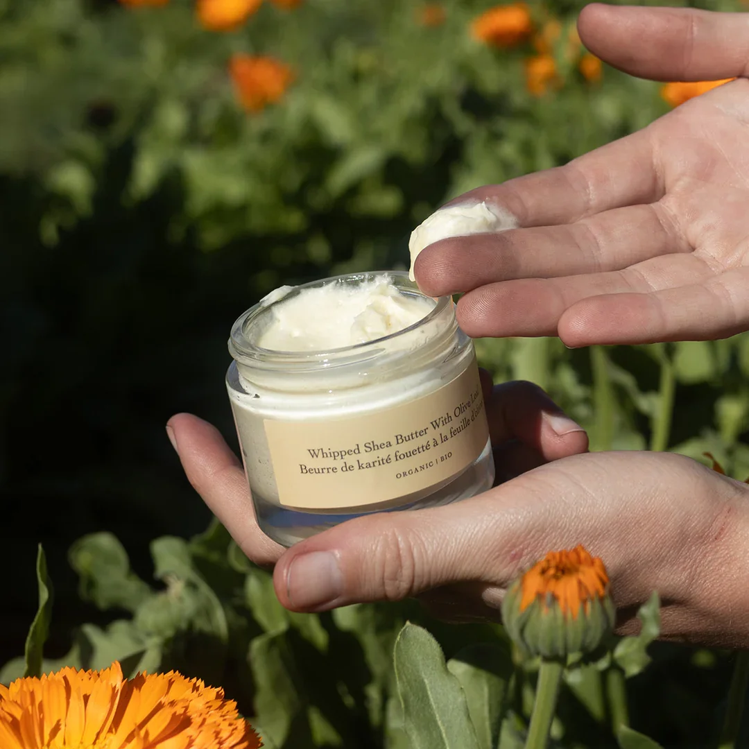 Whipped Olive with Shea Butter