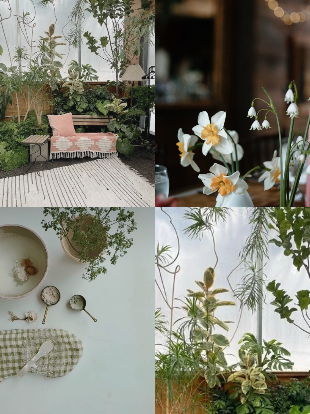 4 pics east pine greenhouse.png