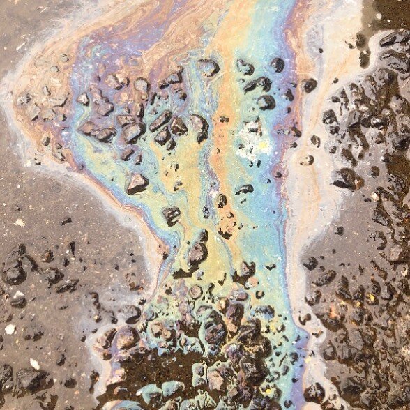 I see a color palette... #inspirarion #color #inspire .
.
.
.
.
#colorpalettechallenge #colorsinnature #art #rainbow #puddleart