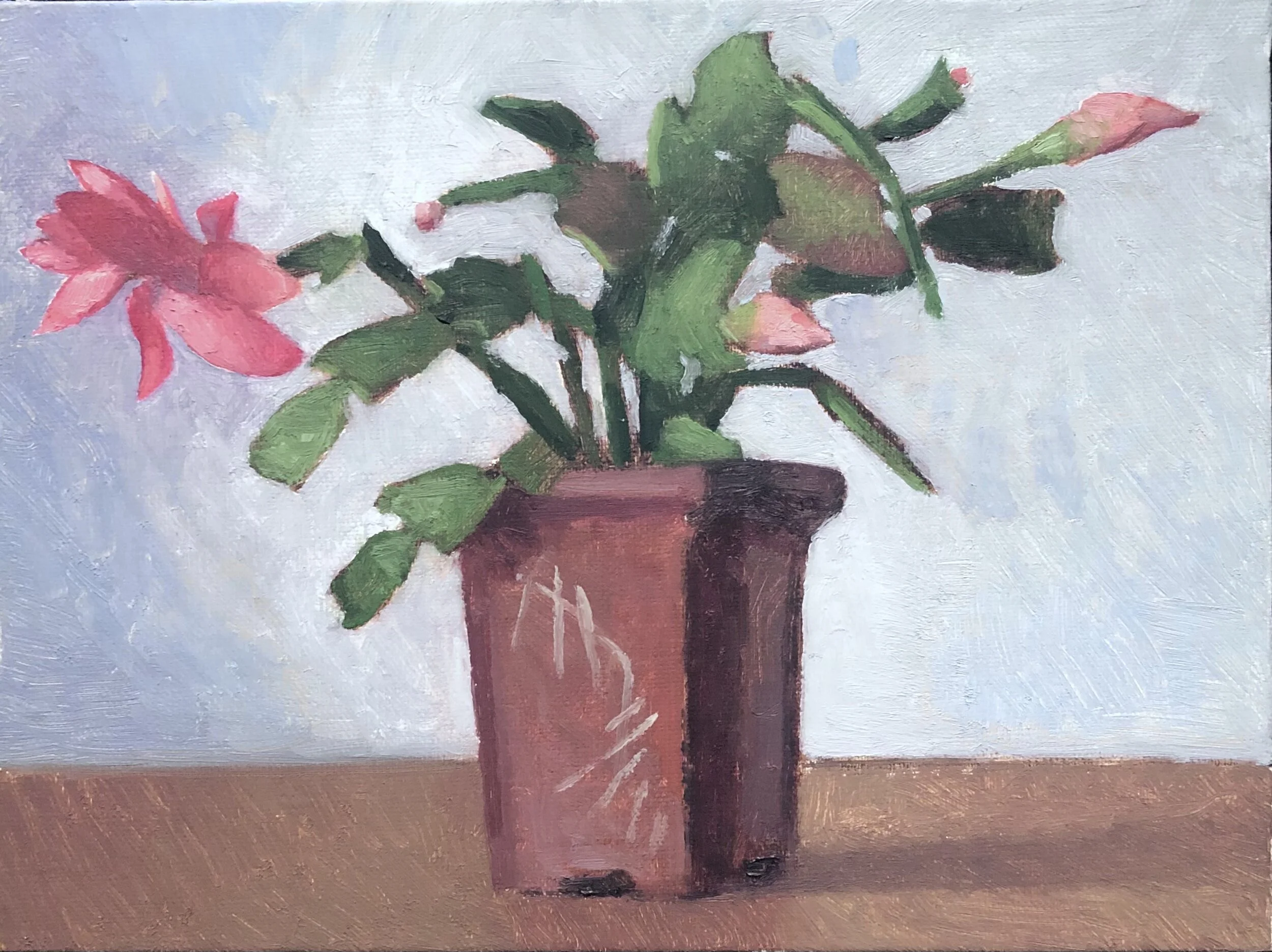 Xmas Cactus 2020