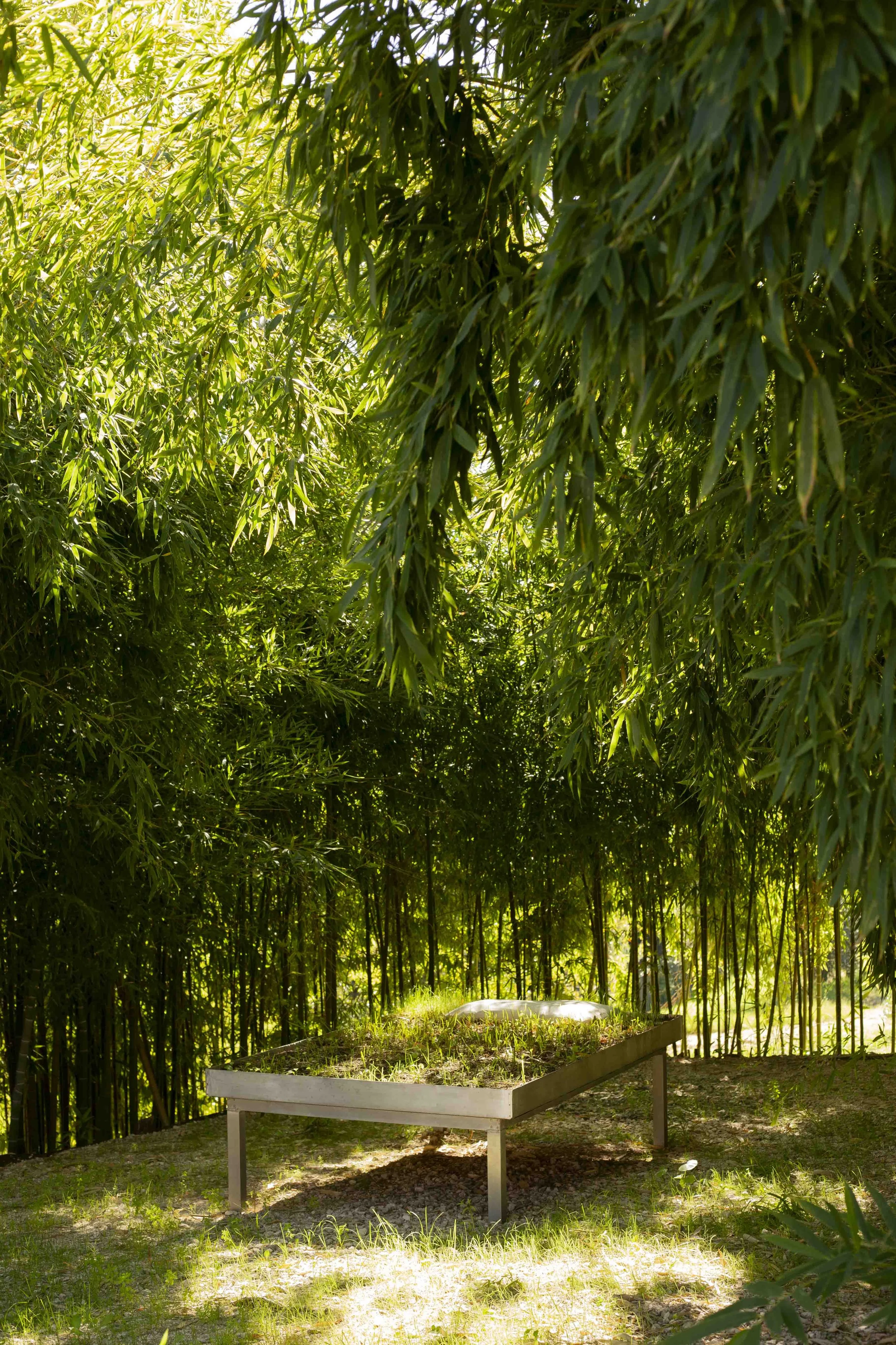 fall25_fondazioneserpone013-AKAO.jpg