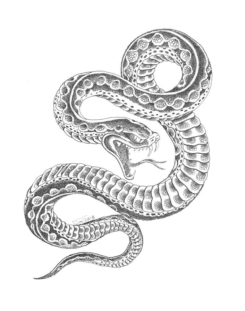 happy jcg art, snake, tattoo, ink, pen