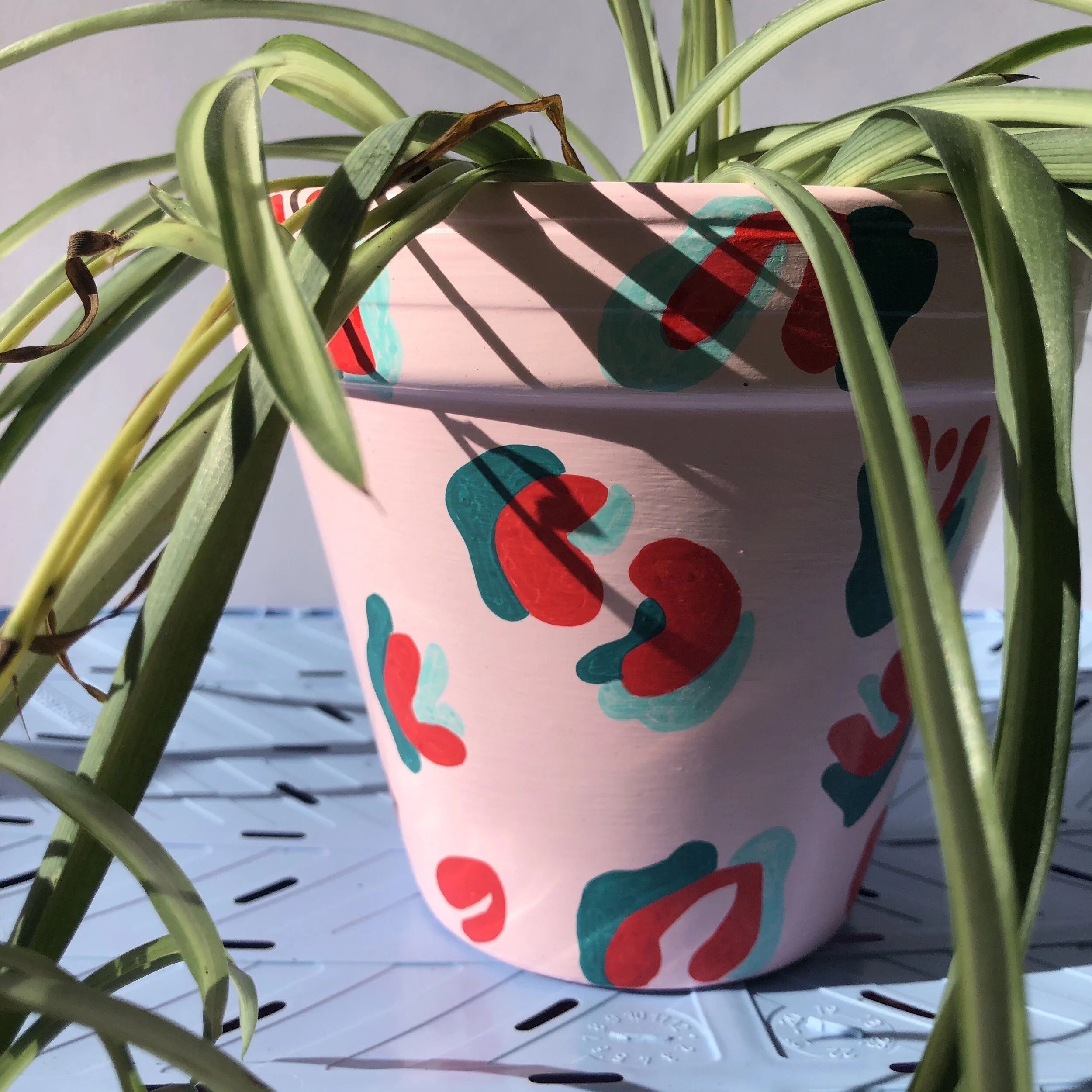 pink and red leopard print plant pot