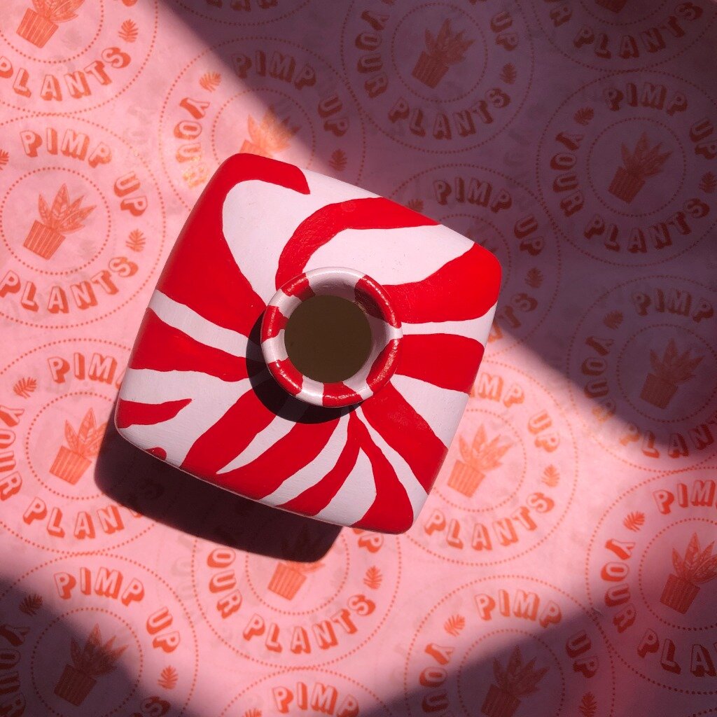 red and pink zebra flower vase