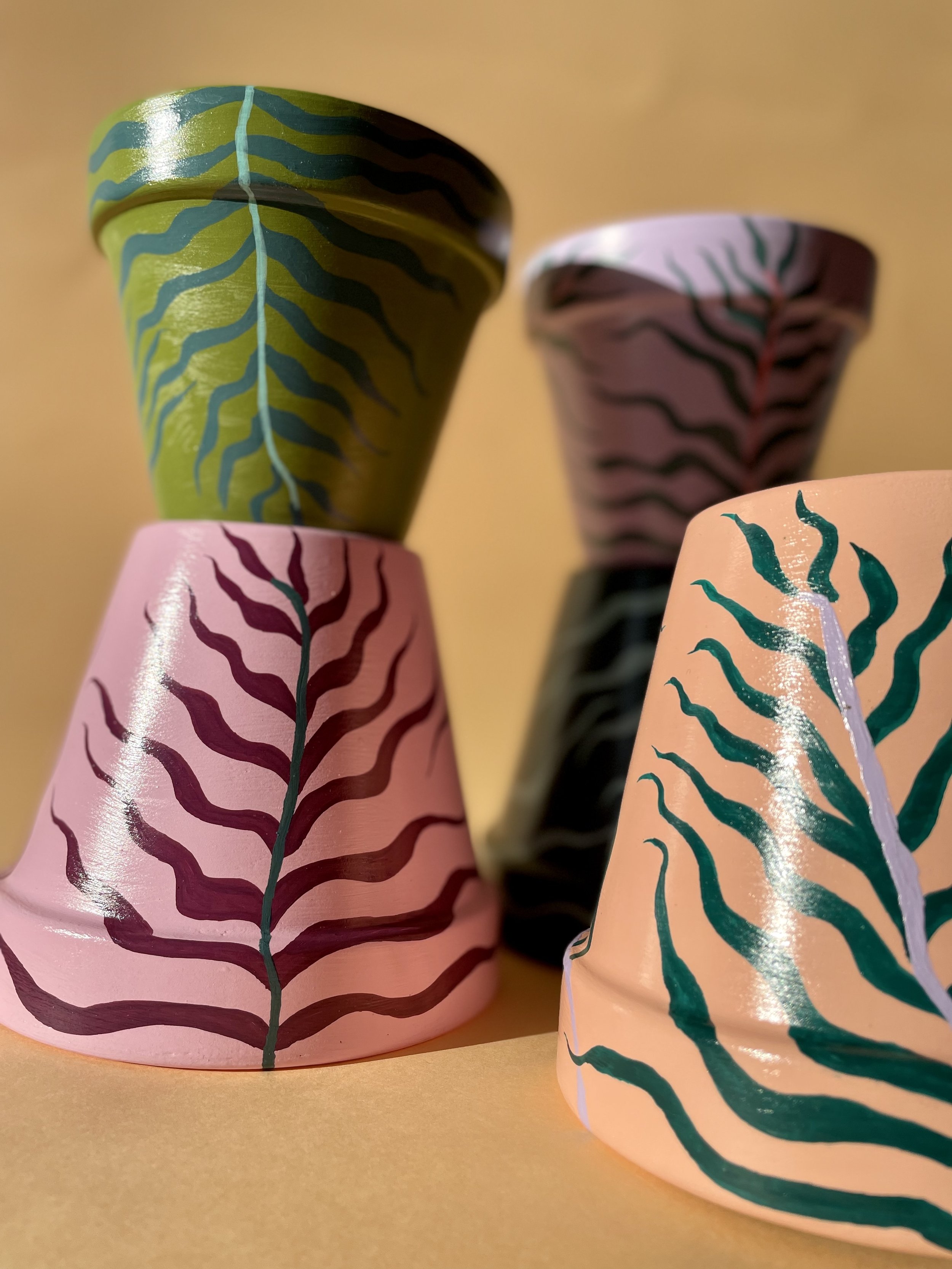 bright coloured plant pots