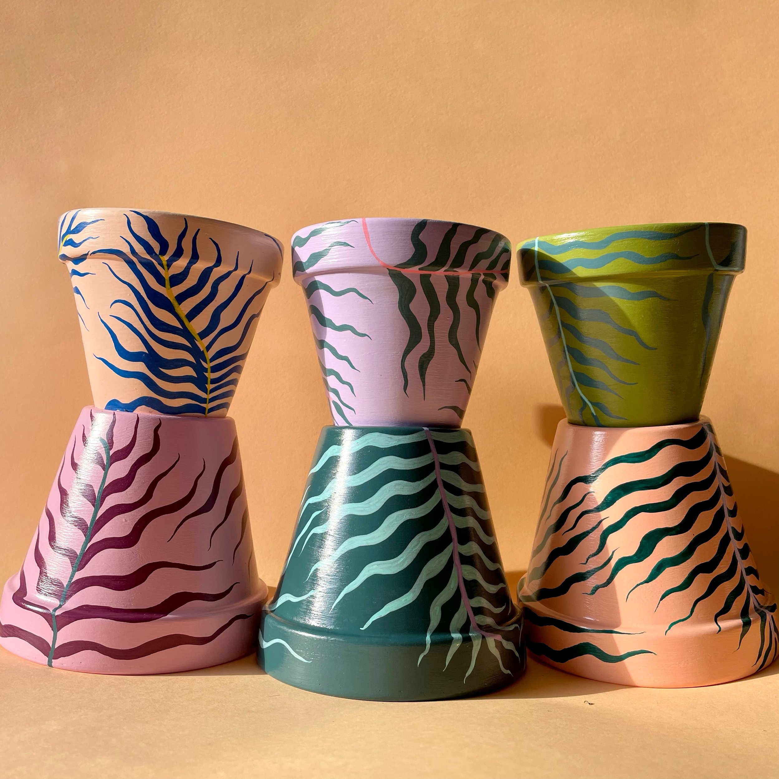 row of colourful plant pots