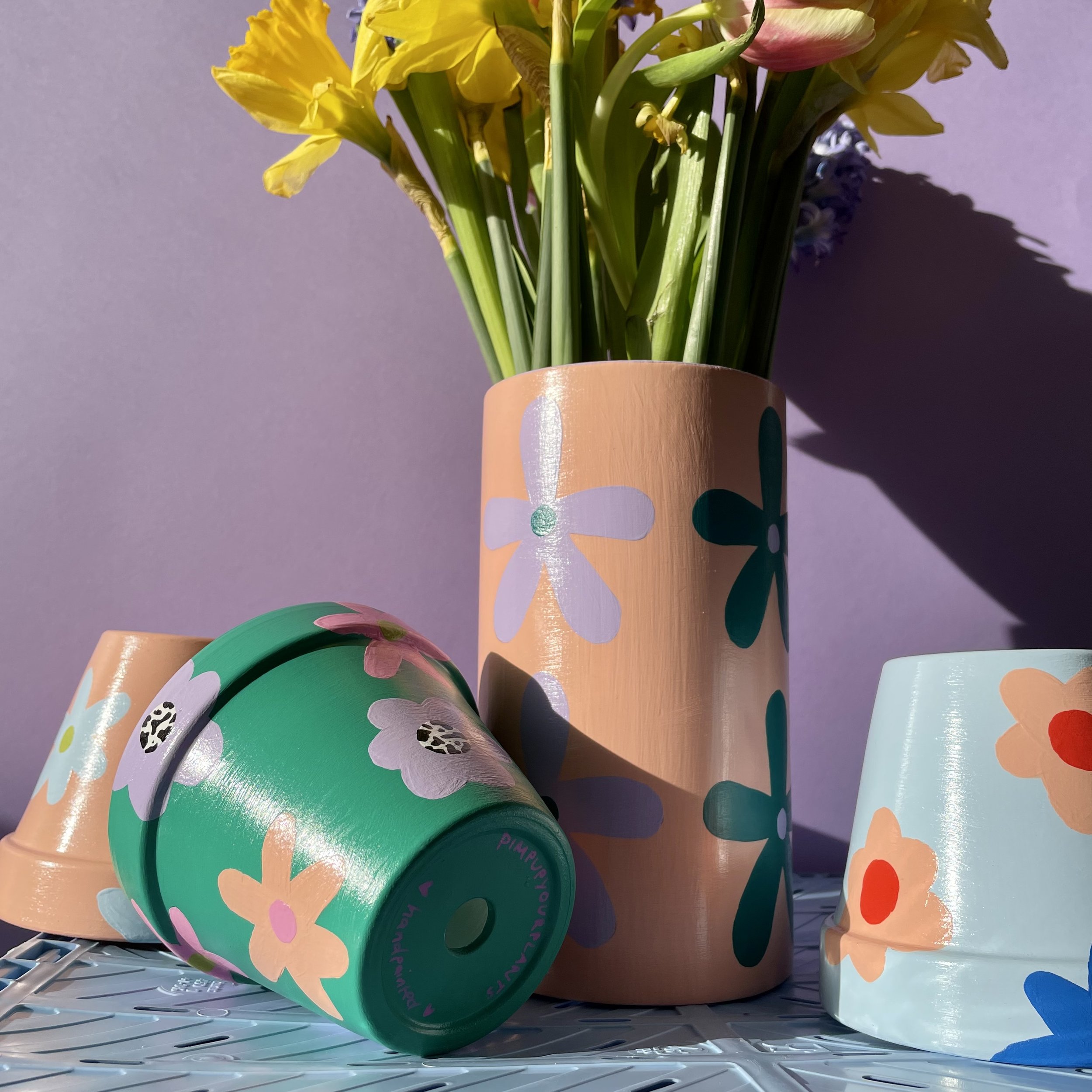 colourful plant pots with flowers