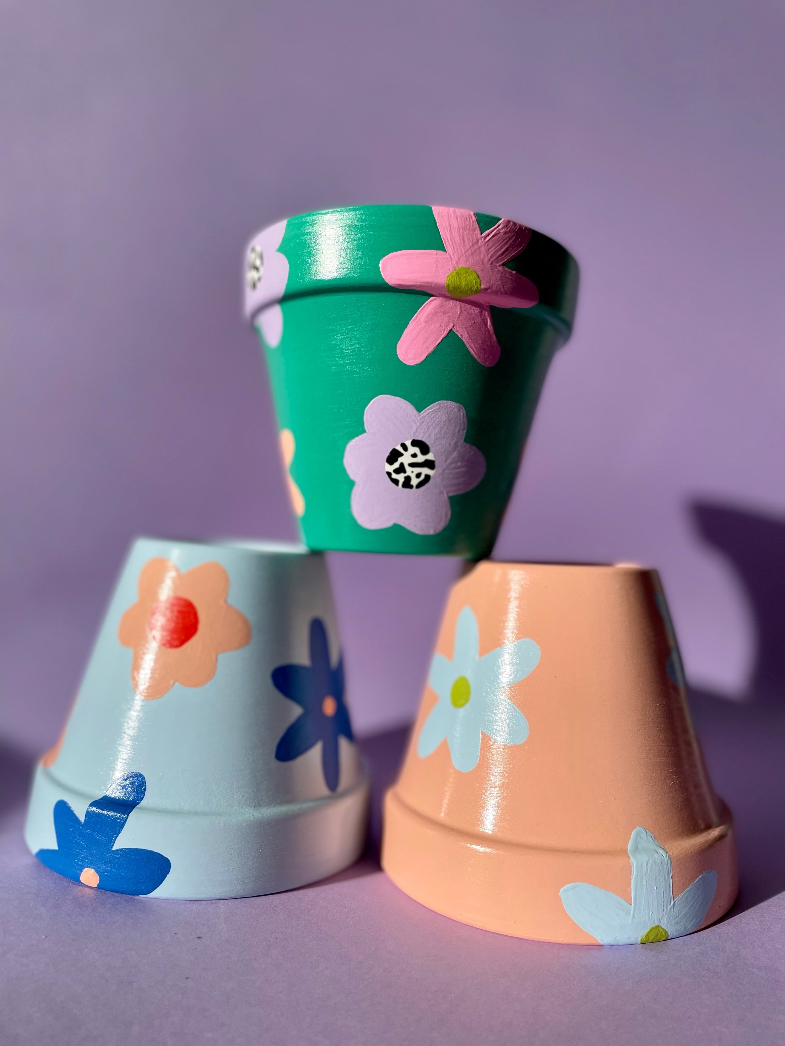 multicoloured plant pot