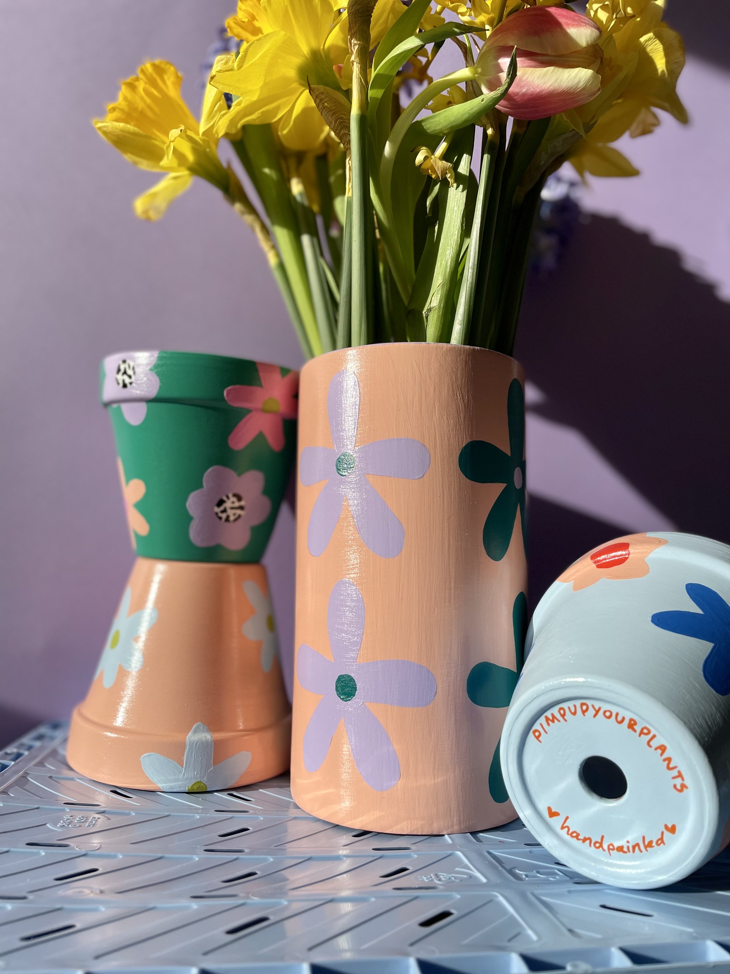 colourful plant pots with daffodils
