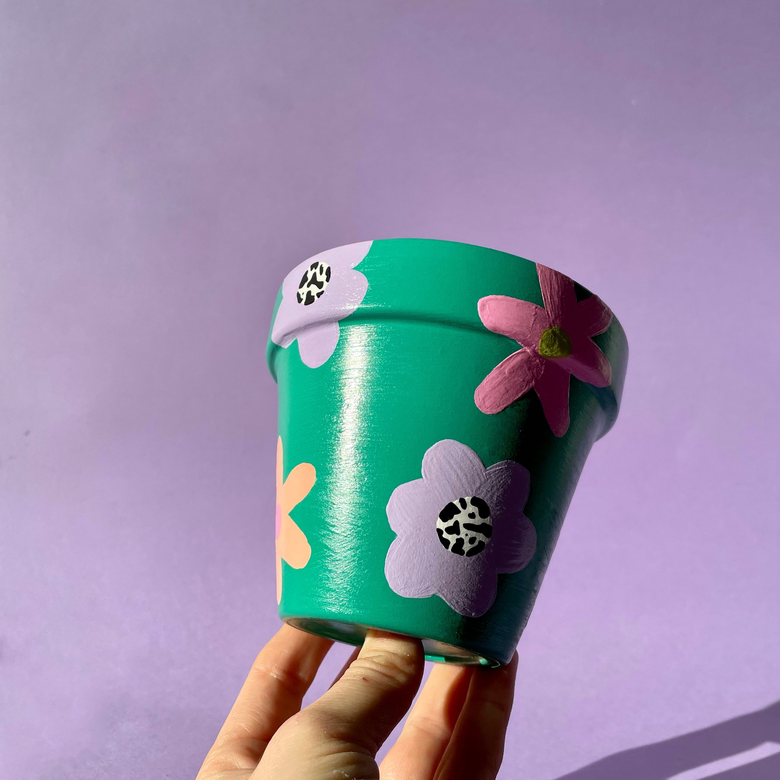 green and pink flowerpot
