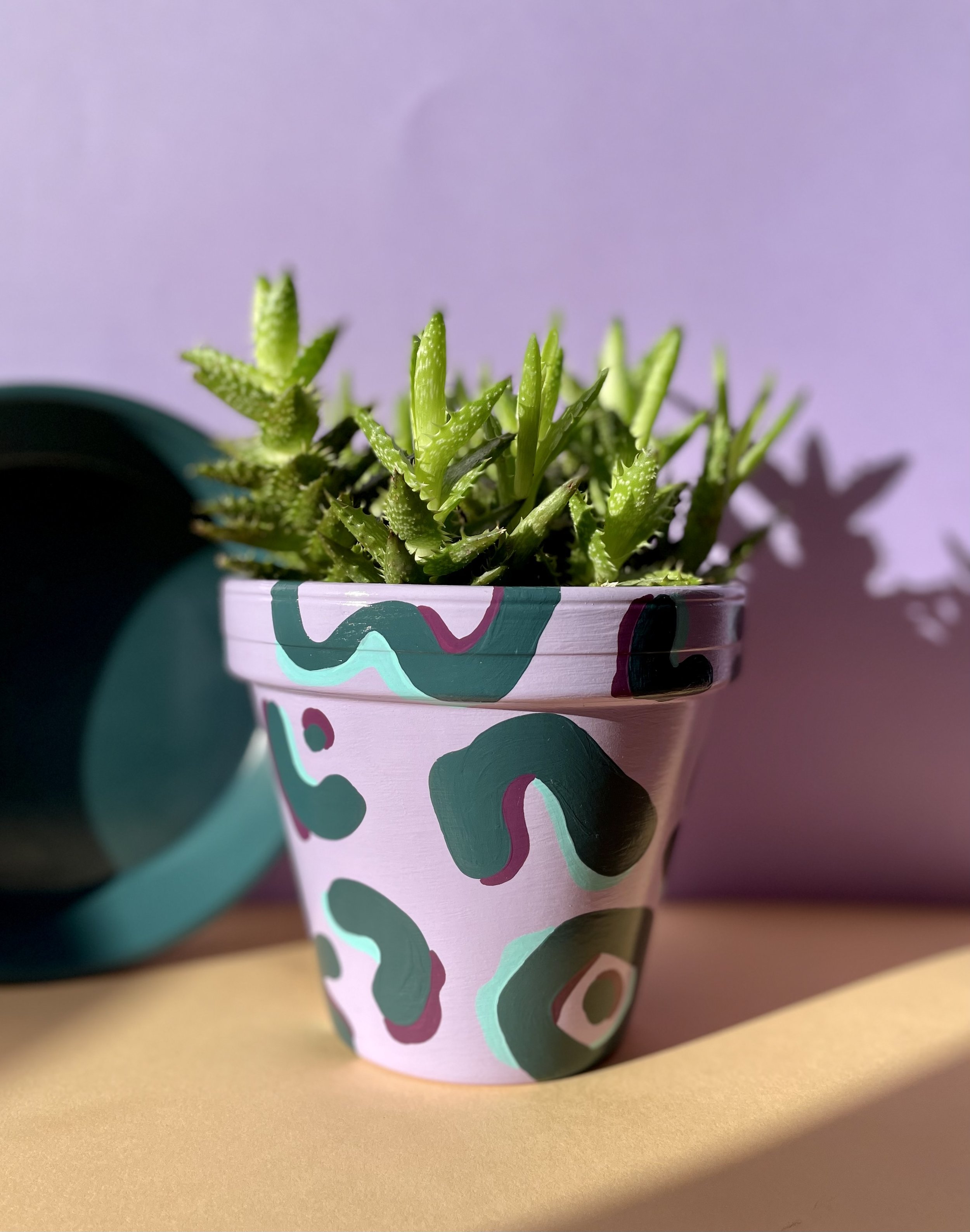 plant pot and saucer in purple and dark green