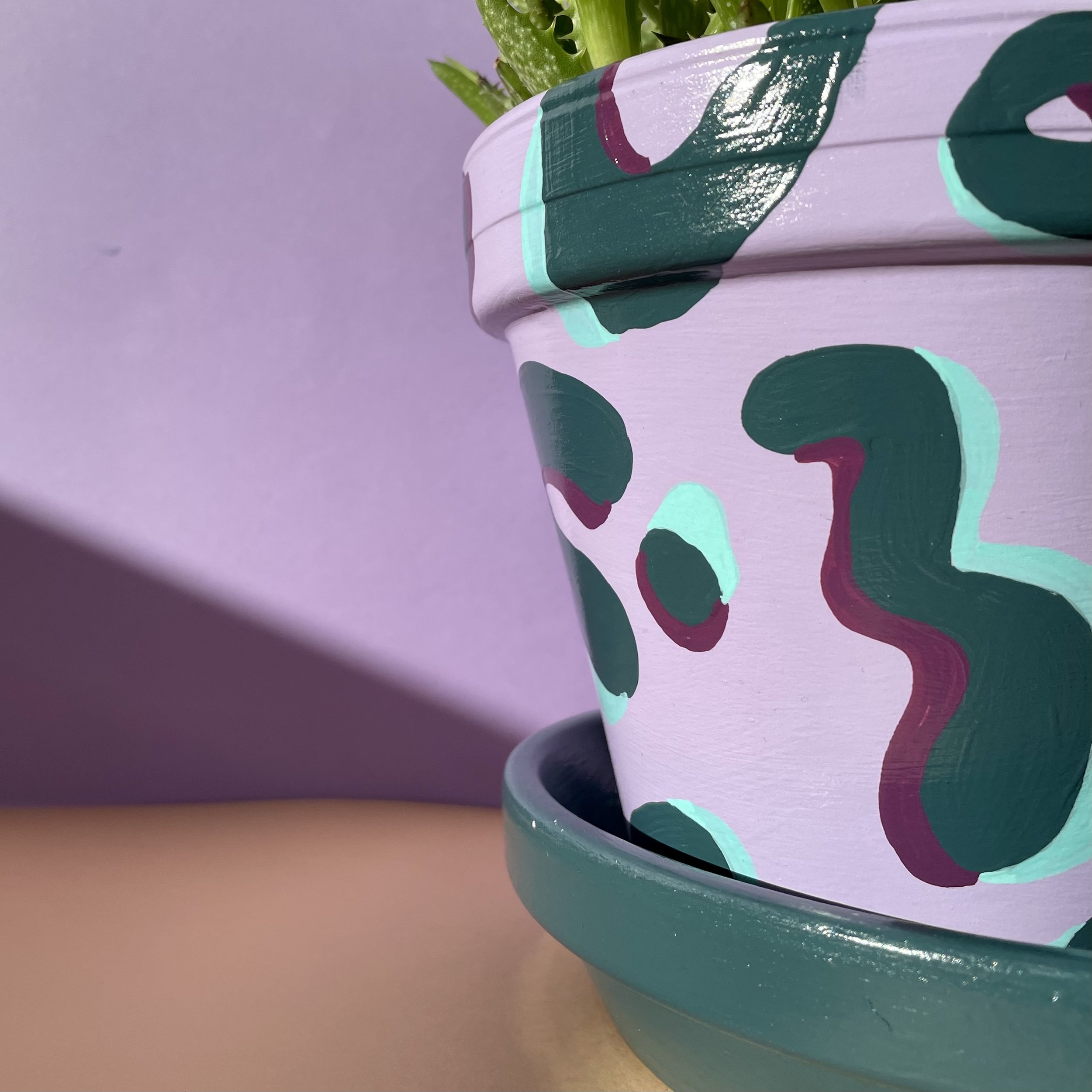 leopard print plant pot with saucer