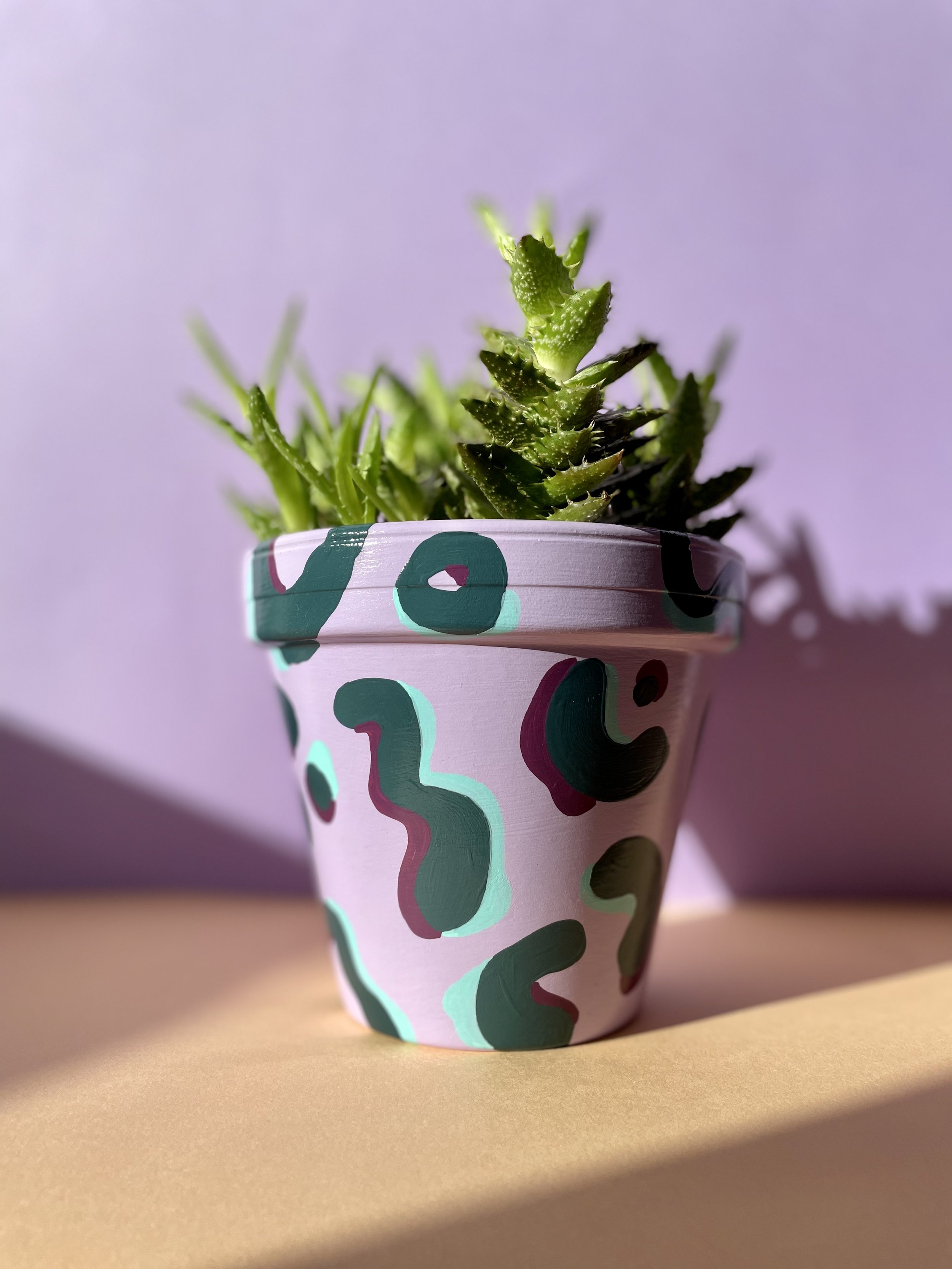 leopard print plant pot with cactus