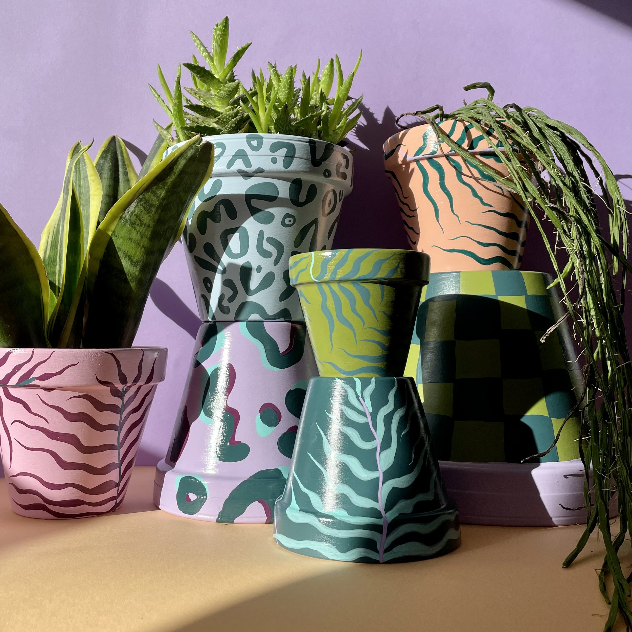 colourful patterned plant pots