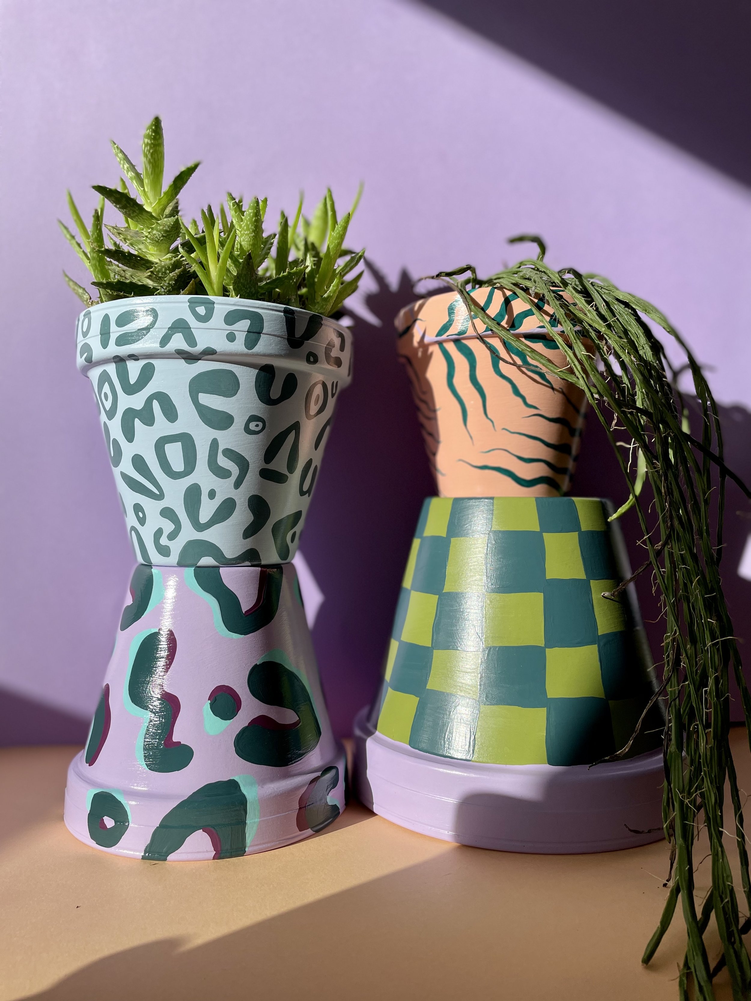 colourful ceramic plant pots