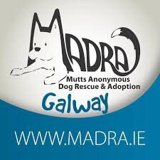 Madra Logo.jpeg