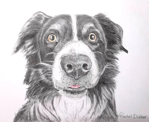 MADRA