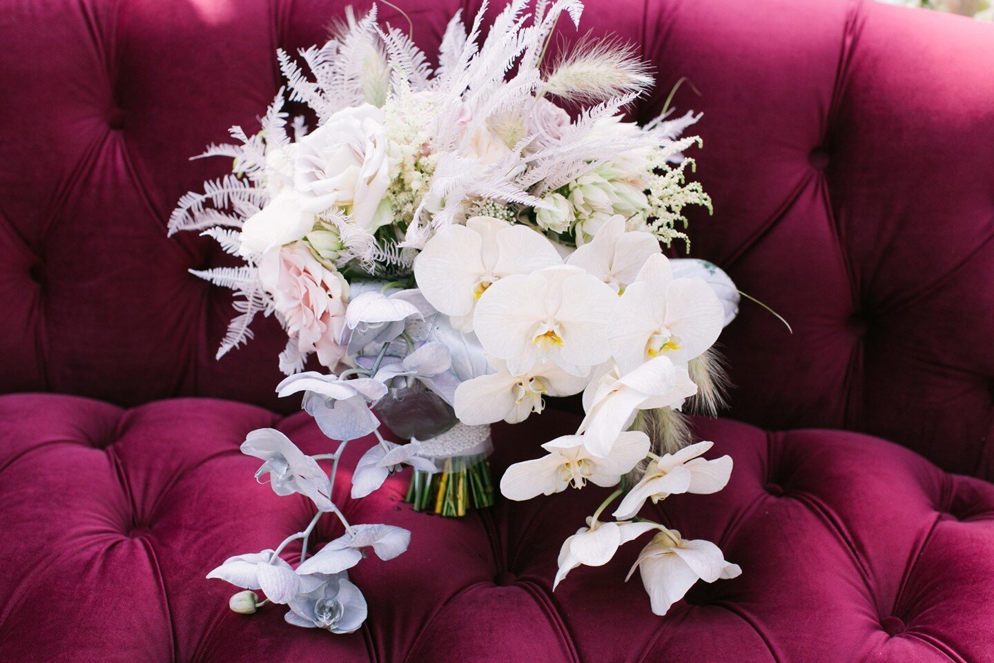 Who knew the Rosa Luxe Sofa would make such a fantastic bouquet backdrop 🥰⁠
⁠
⁠