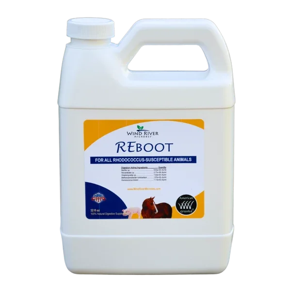 ReBoot.webp