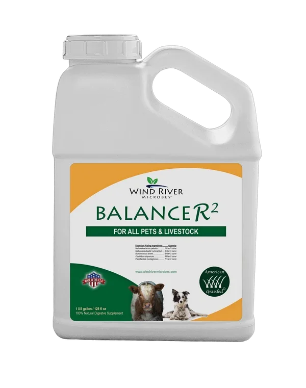 Balancer2 (1).webp