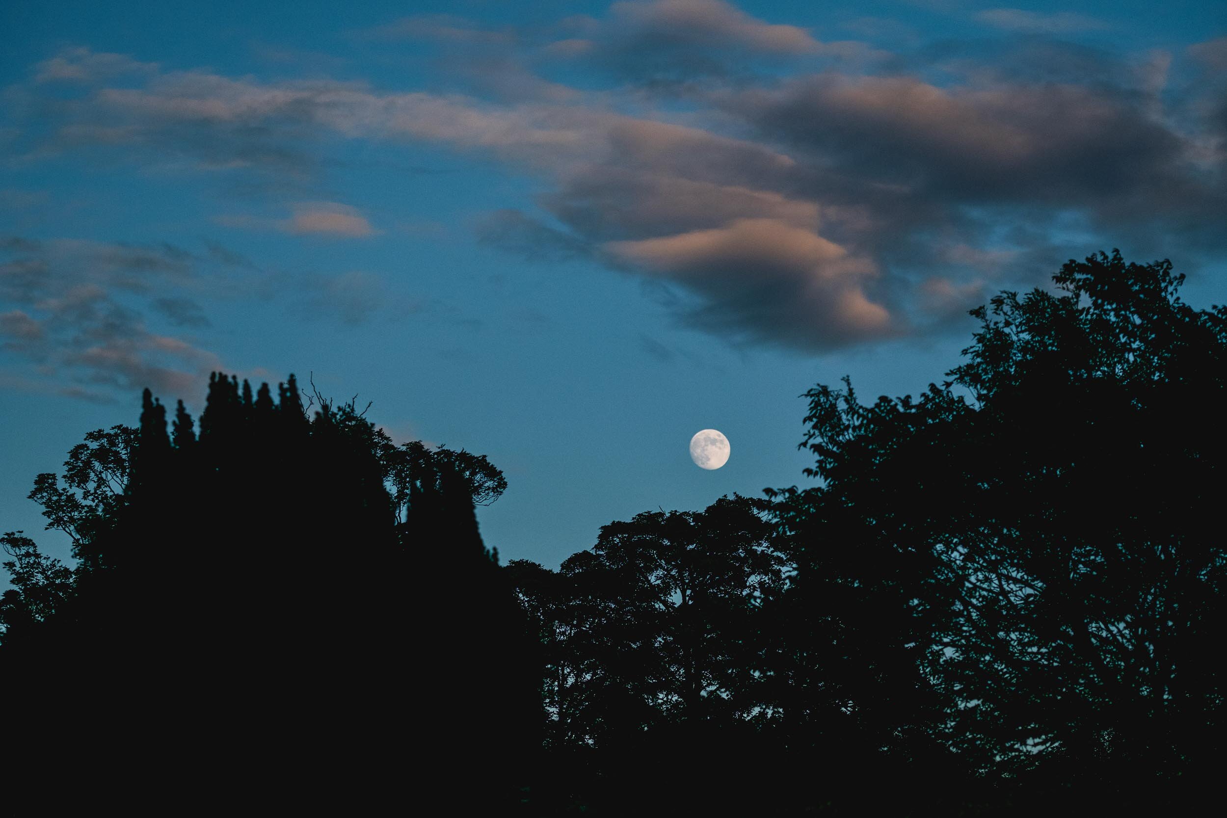 moon rising in sky at dusk