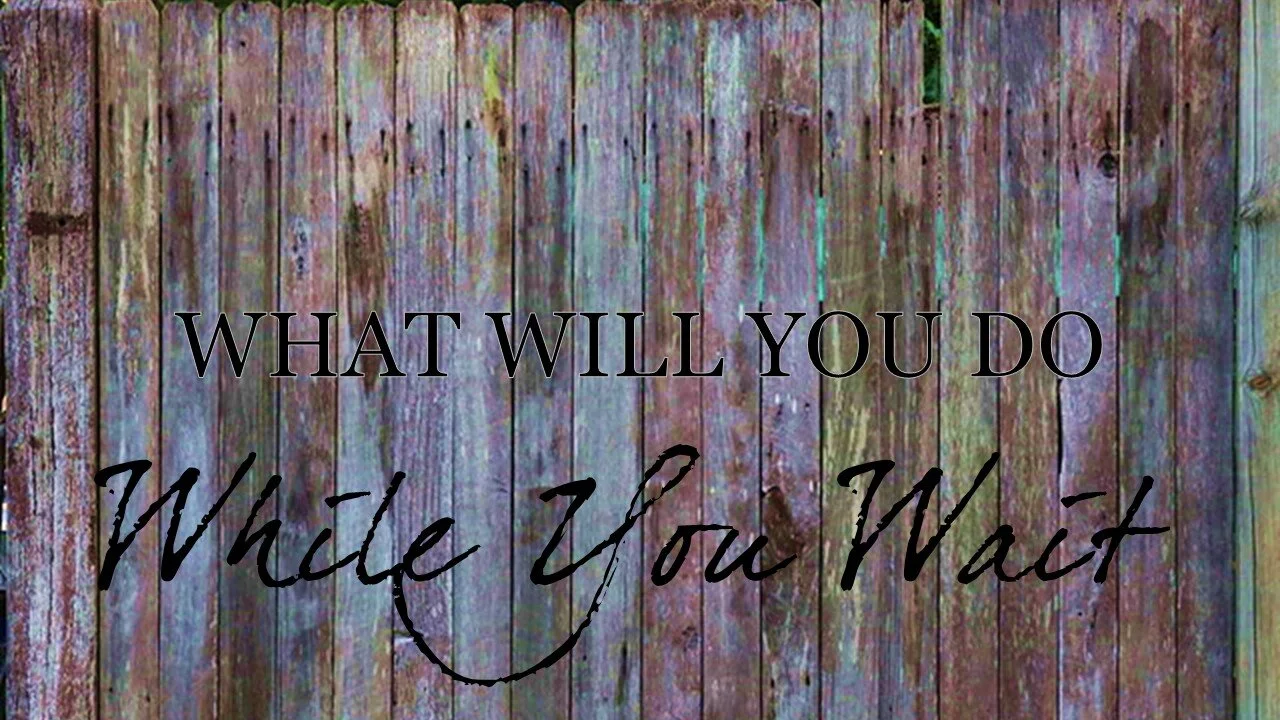 What Will You Do While You Wait?