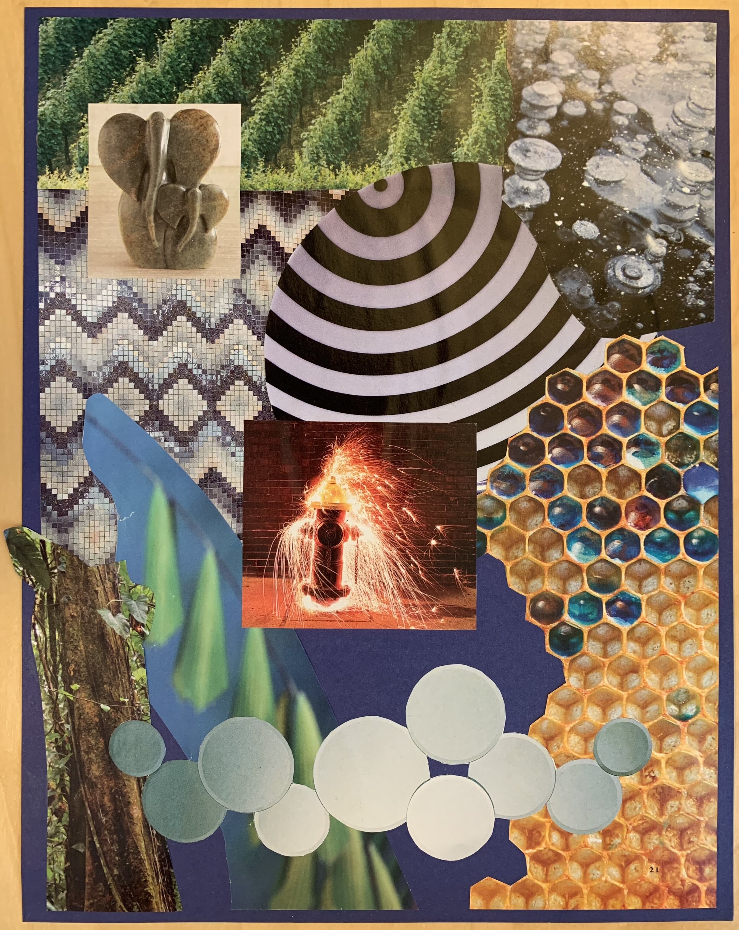 Collage 5-5-19.jpg