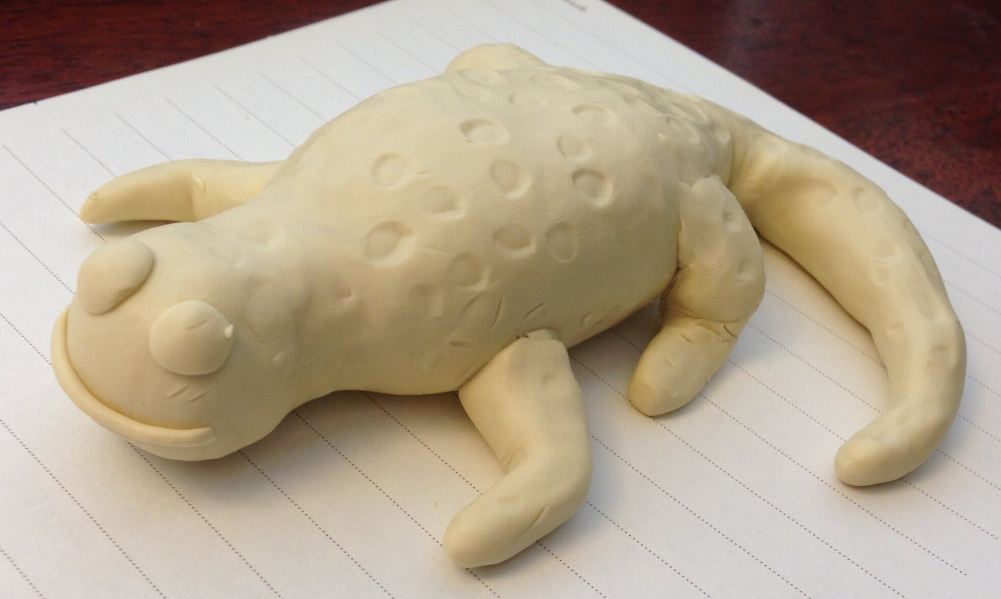 Salamander