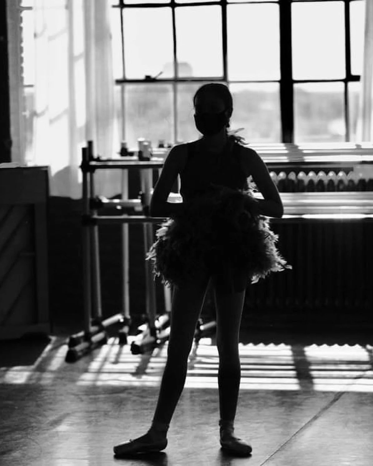 shadow black and white window curtains barres feathers bluebird Sherri Stewart Dance dancer studio acting ballet jazz lyrical contemporary theater musical camp singing voice glee club Amber Keeley director Mpls classes twin cities workshops Spring Da