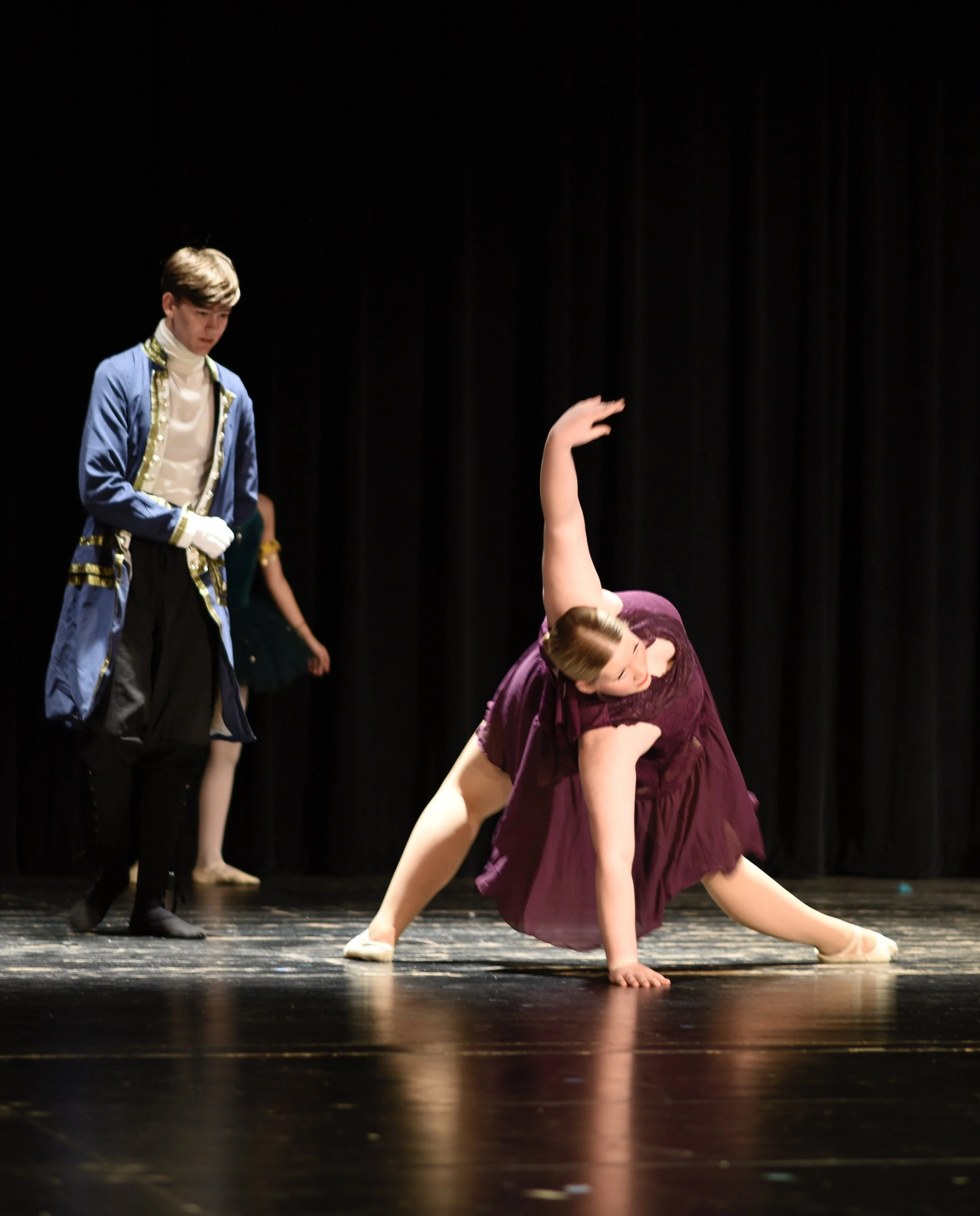 purple dress princess Prince Charming