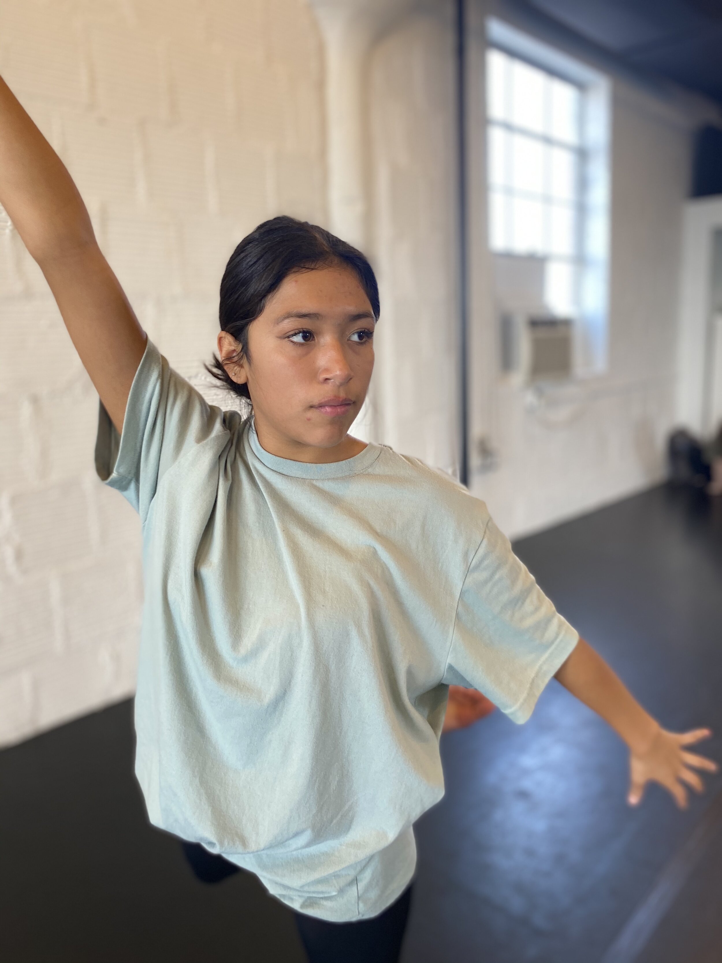 teal top moving white brick wall Dance acting ballet jazz lyrical contemporary theater musical camp singing voice glee club Amber Keeley director Mpls classes twin cities workshops Spring Dance Theatre Academy NE Minneapolis MN St St. Saint Paul Minn