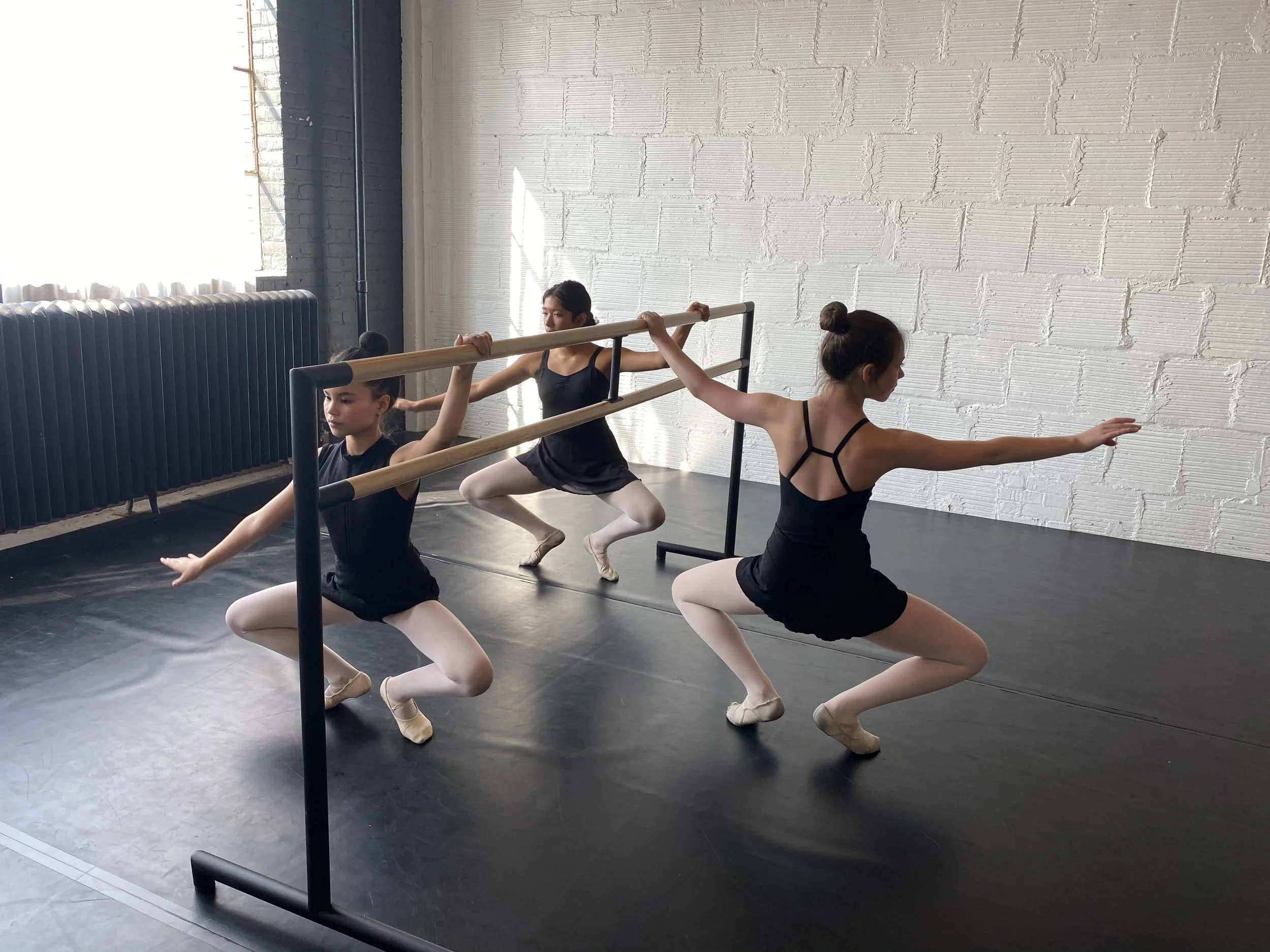 barre black leotards 3 girls plié Dance acting ballet jazz lyrical contemporary theater musical camp singing voice glee club Amber Keeley director Mpls classes twin cities workshops Spring Dance Theatre Academy NE Minneapolis MN St St. Saint Paul Min