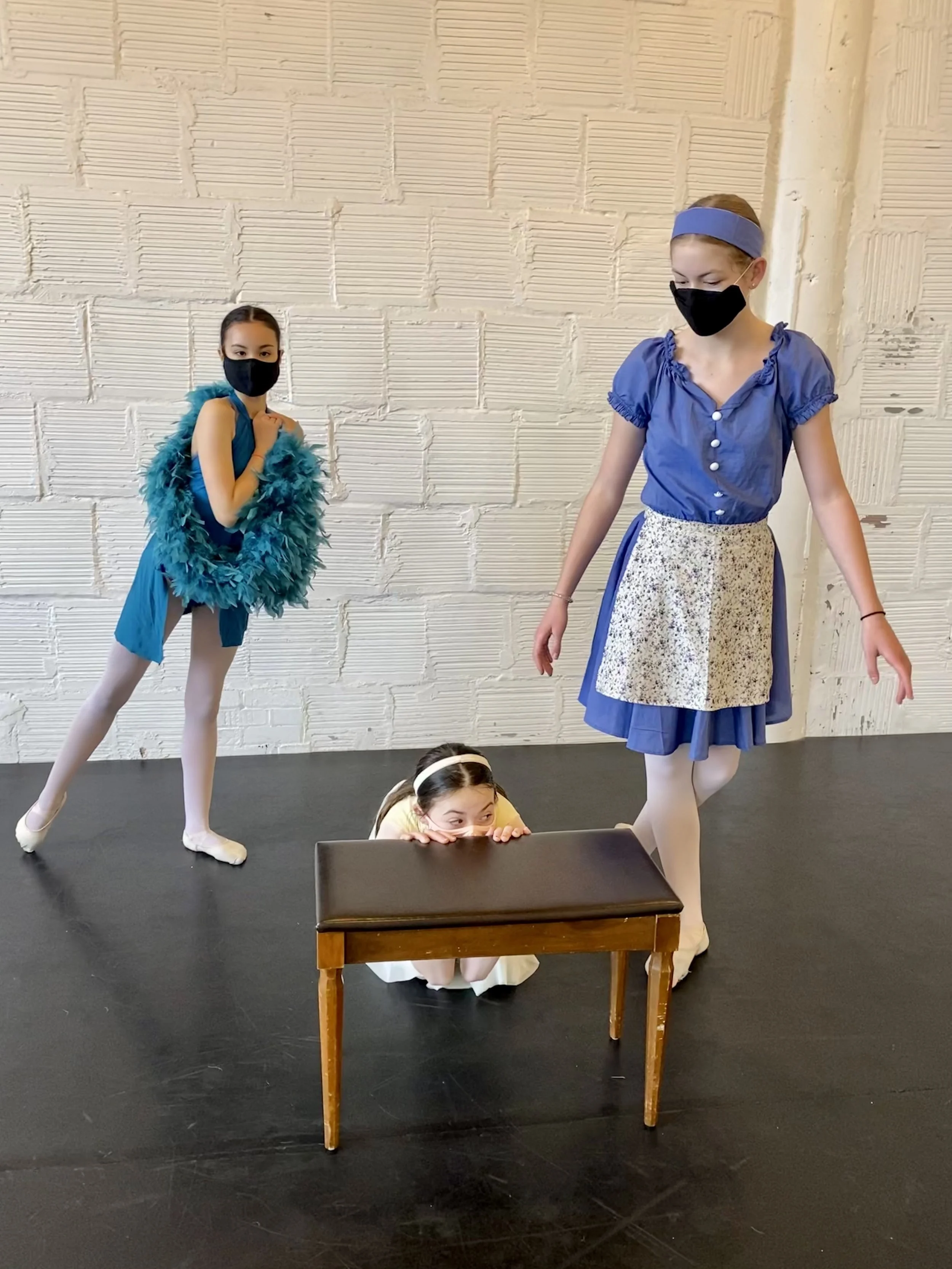 cinderella gus gus bluebird bench hiding Dance dancer studio acting ballet jazz lyrical contemporary theater musical camp singing voice glee club Amber Keeley director Mpls classes twin cities workshops Spring Dance Theatre Academy NE Minneapolis MN 